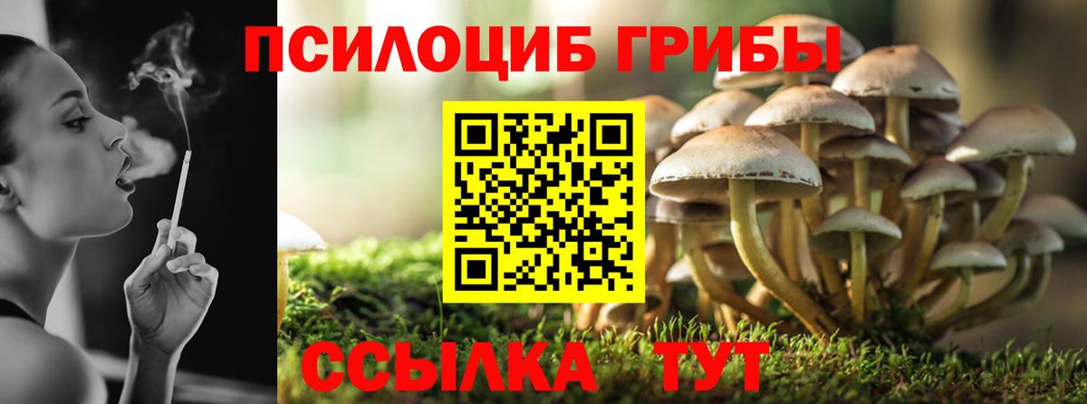 Галлюциногенные грибы GOLDEN TEACHER Лысьва