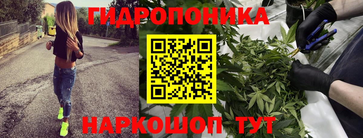 МАРИХУАНА Bruce Banner Лысьва